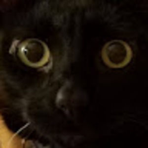 Meet your Posher, Faye